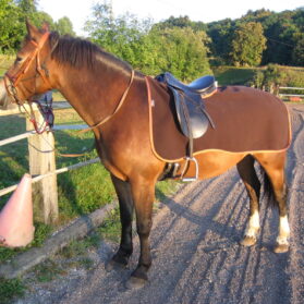 Couvre reins