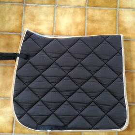 Dressage