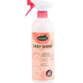 Easy Shine