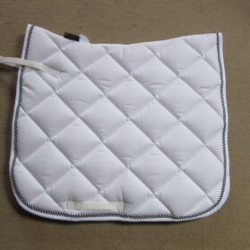 Dressage