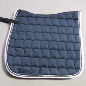 Dressage