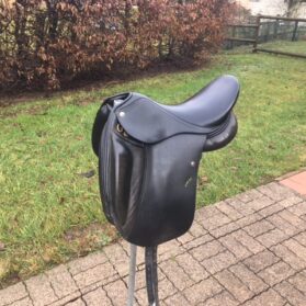 Dressage Eric Mondagne