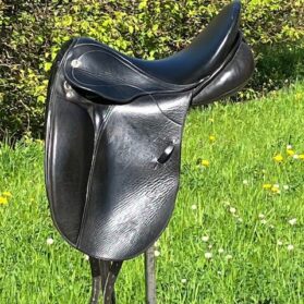 Dressage Philippe Fontaine