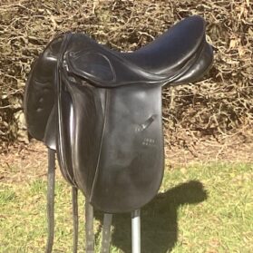 Dressage Scandica