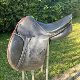 Dressage Stuebben