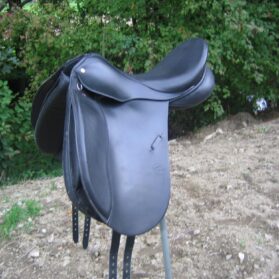 Dressage Lemetex