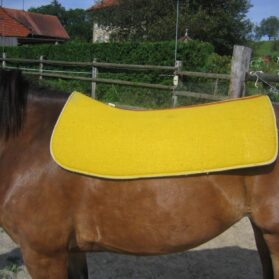 Tapis de Voltige